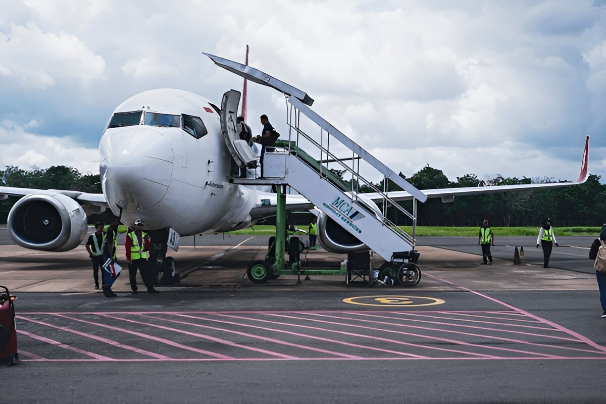 aircraft-damage-protection-system